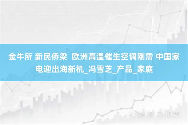 金牛所 新民侨梁  欧洲高温催生空调刚需 中国家电迎出海新机_冯雪芝_产品_家庭