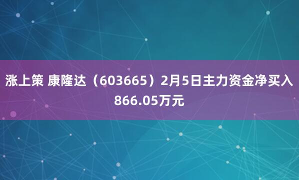 涨上策 康隆达（603665）2月5日主力资金净买入866.05万元