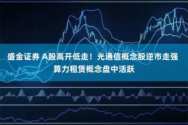 盛金证券 A股高开低走！光通信概念股逆市走强 算力租赁概念盘中活跃