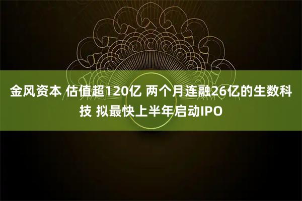金风资本 估值超120亿 两个月连融26亿的生数科技 拟最快上半年启动IPO